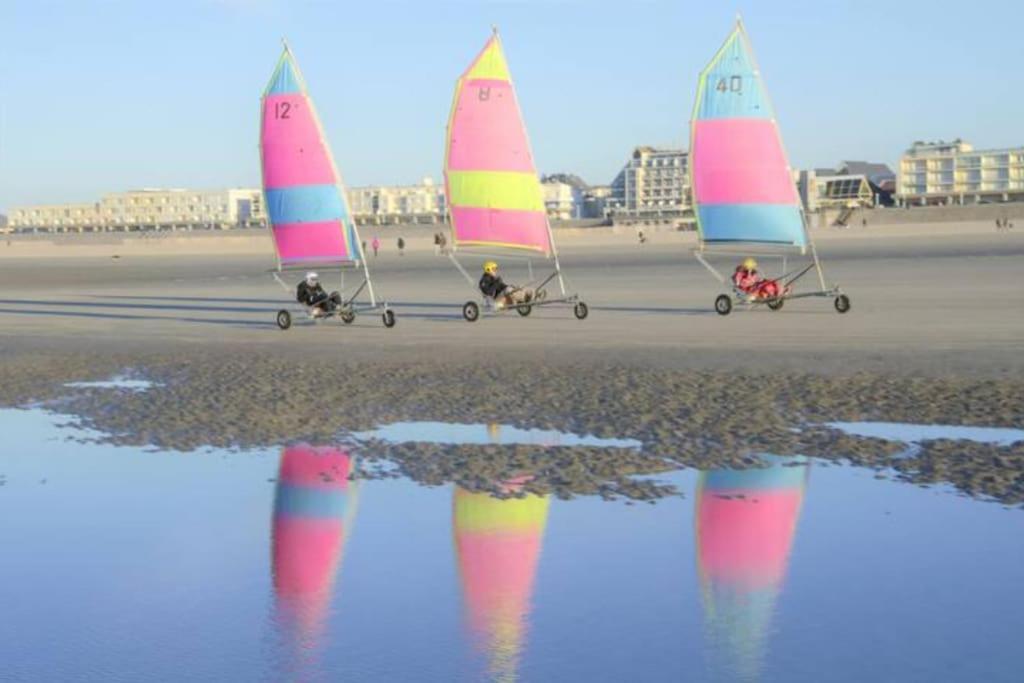 Cozy D'Opale Charmant T1 Bord De Mer Cour Privee Et Clot Wifi 3 Pers Animaux Acceptes Gratuit Apartment Berck Exterior photo