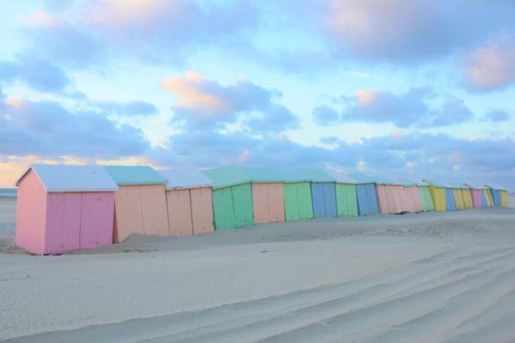 Cozy D'Opale Charmant T1 Bord De Mer Cour Privee Et Clot Wifi 3 Pers Animaux Acceptes Gratuit Apartment Berck Exterior photo